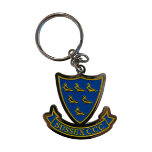 Metal Keyring