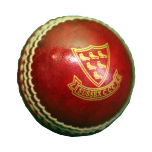 Miniature Cricket Ball